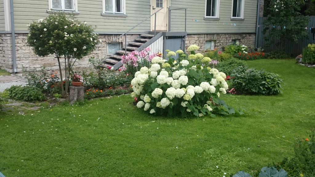 Matrix Garden Apartments Tallinn Oda fotoğraf
